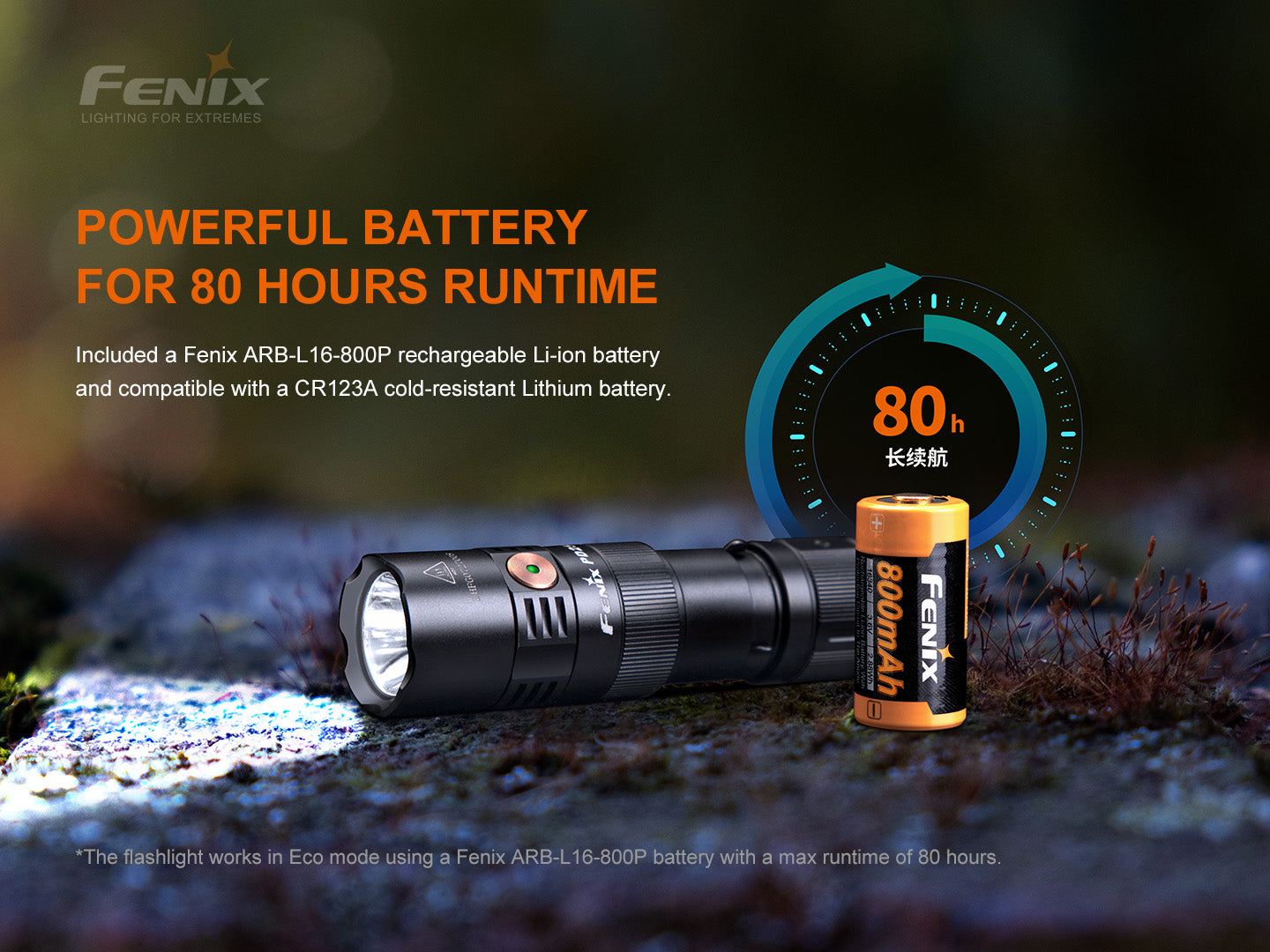 Fenix PD25R EDC Flashlight – 800 Lumen USB-C Rechargeable Compact Light